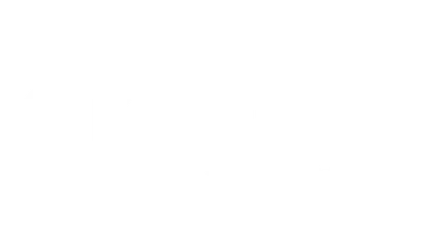 Logo Okoflex