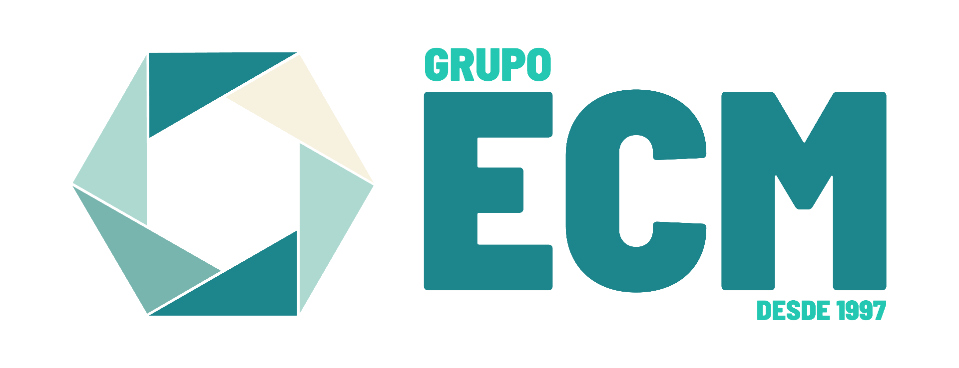 Logo Grupo ECM